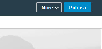 linkedin-publish-button
